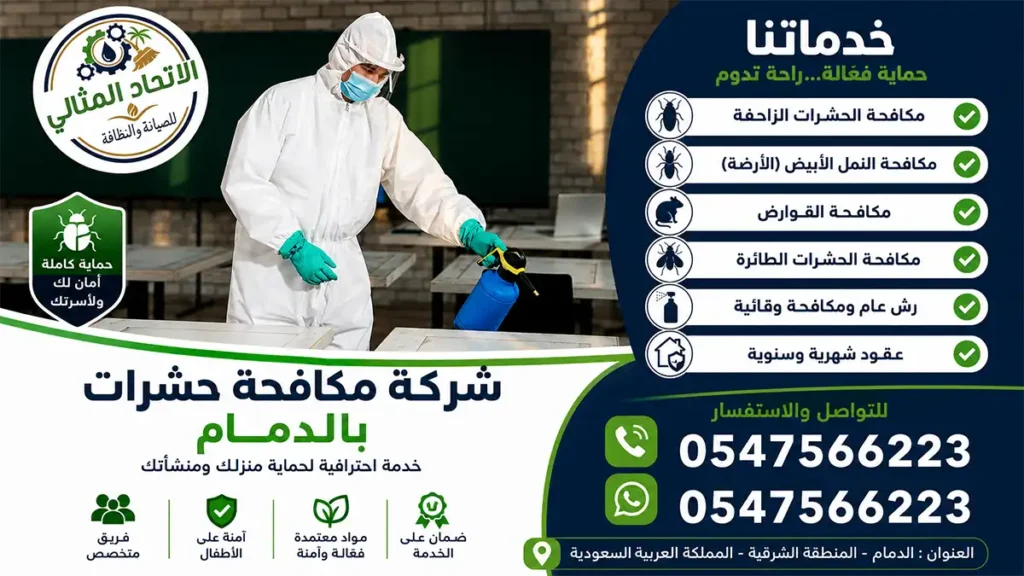 شركة مكافحة حشرات بالدمام ضمان 5 سنوات