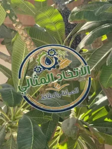 خلية نحل في مكان صعب