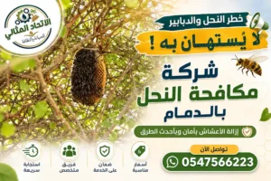 شركة مكافحة النحل بالدمام | إزالة خلايا النحل والدبابير