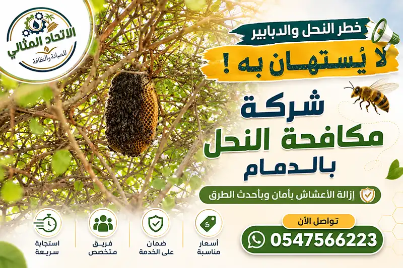 شركة مكافحة النحل بالدمام