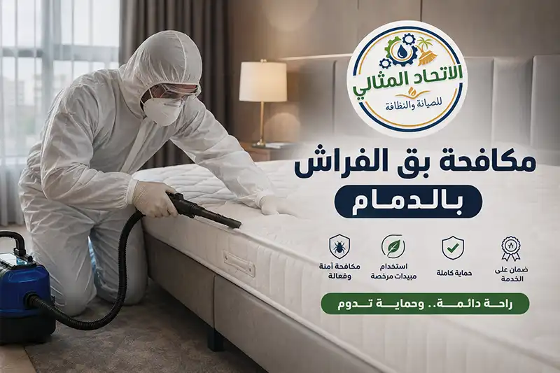 مكافحة البق بالدمام