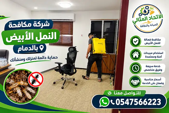 شركة مكافحة النمل الابيض بالدمام