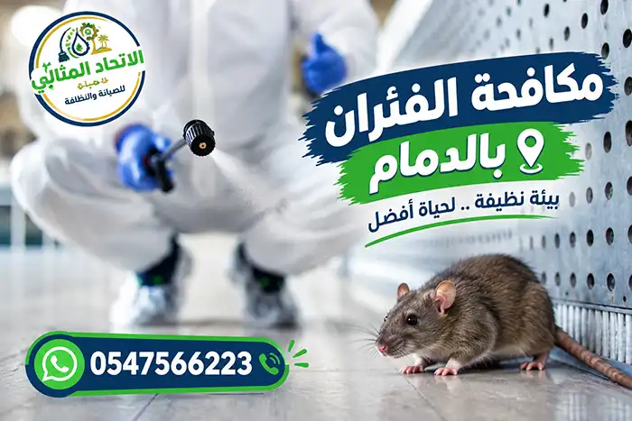 مكافحة فئران الدمام
