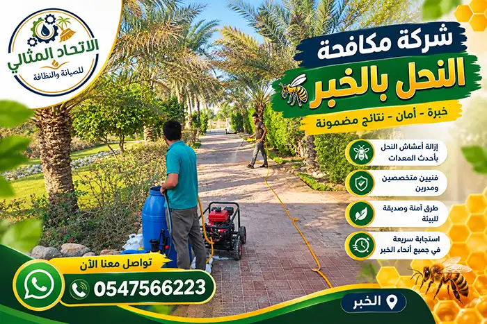 شركة مكافحة النحل بالخبر